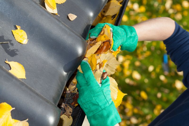 Autumn Gutter Preparation